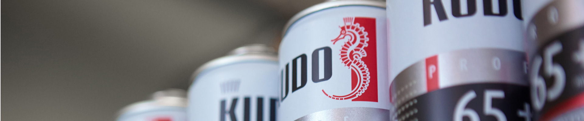 О компании KUDO