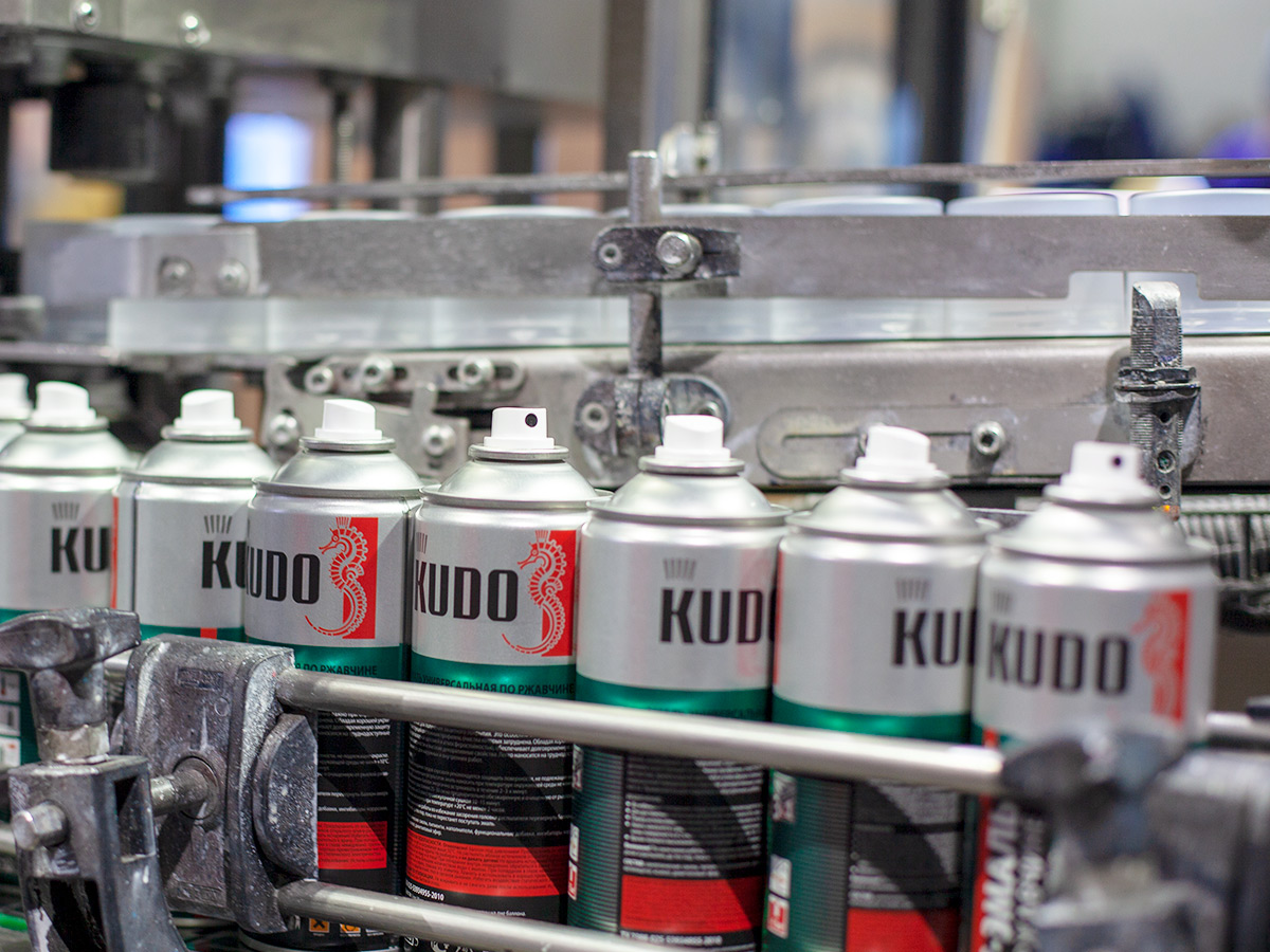 О компании KUDO